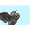 Image 4 : Animal edition Bronze Owl Statue