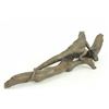Image 4 : Iguana on Tree Branch Bronze Sculpture