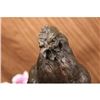 Image 4 : Chicken Farm Animal Edition Bronze Sculpture on Marble Base Figurine