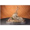Image 1 : Elk-Buck-Stag trophy Bronze Statue on Marble Base Sculpture