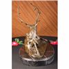 Image 3 : Elk-Buck-Stag trophy Bronze Statue on Marble Base Sculpture
