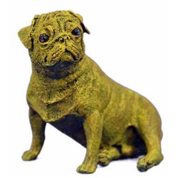 Yellow Patina Pug Bronze Figurine