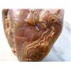 Image 2 : Large Fairburn Agate Over 2 Inches