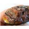 Image 1 : Fairburn Agate from South Dakota