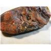 Image 4 : Fairburn Agate from South Dakota