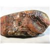 Image 6 : Fairburn Agate from South Dakota