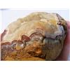 Image 4 : Large 3" Fairburn Agate From South Dakota