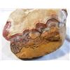 Image 6 : Large 3" Fairburn Agate From South Dakota