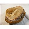 Image 9 : Large 3" Fairburn Agate From South Dakota
