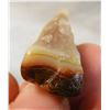 Image 2 : Fairburn Agate from South Dakota