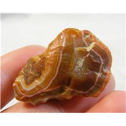 Gemmy Fairburn Agate from South Dakota