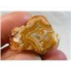 Image 1 : Gemmy Fairburn Agate from Nebraska