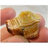 Image 2 : Gemmy Fairburn Agate from Nebraska