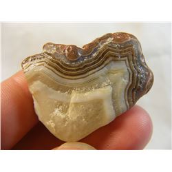 Fairburn Agate from South Dakota