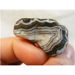 Black and White Fairburn Agate from South Dakota