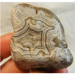 Crazy Busy Fairburn Agate from South Dakota