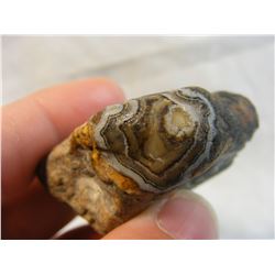 Fairburn Agate from South Dakota