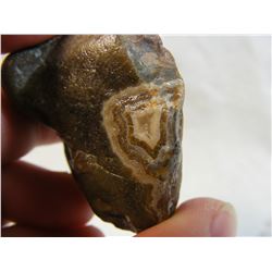 Fairburn Agate from South Dakota