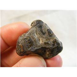 Fairburn Agate from South Dakota