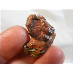 Beautiful Fairburn Agate from South Dakota