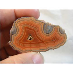 Cut and Polished Fairburn Agate from Pringle, South Dakota