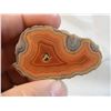Image 1 : Cut and Polished Fairburn Agate from Pringle, South Dakota