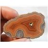Image 2 : Cut and Polished Fairburn Agate from Pringle, South Dakota