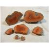 Image 3 : Cut and Polished Fairburn Agate from Pringle, South Dakota