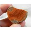 Image 6 : Cut and Polished Fairburn Agate from Pringle, South Dakota