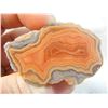 Image 9 : Cut and Polished Fairburn Agate from Pringle, South Dakota
