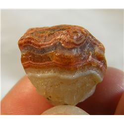 Vibrant Fairburn Agate from South Dakota