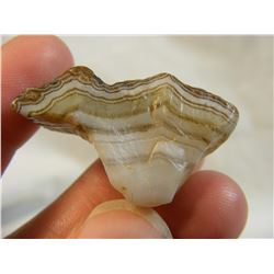 Fairburn Agate from South Dakota