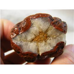 Red Starburst Fairburn Agate from Fairburn South Dakota