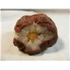 Image 2 : Red Starburst Fairburn Agate from Fairburn South Dakota