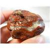 Image 5 : Red Starburst Fairburn Agate from Fairburn South Dakota