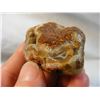 Image 2 : Great Fairburn Agate with Platelets Nebraska Find