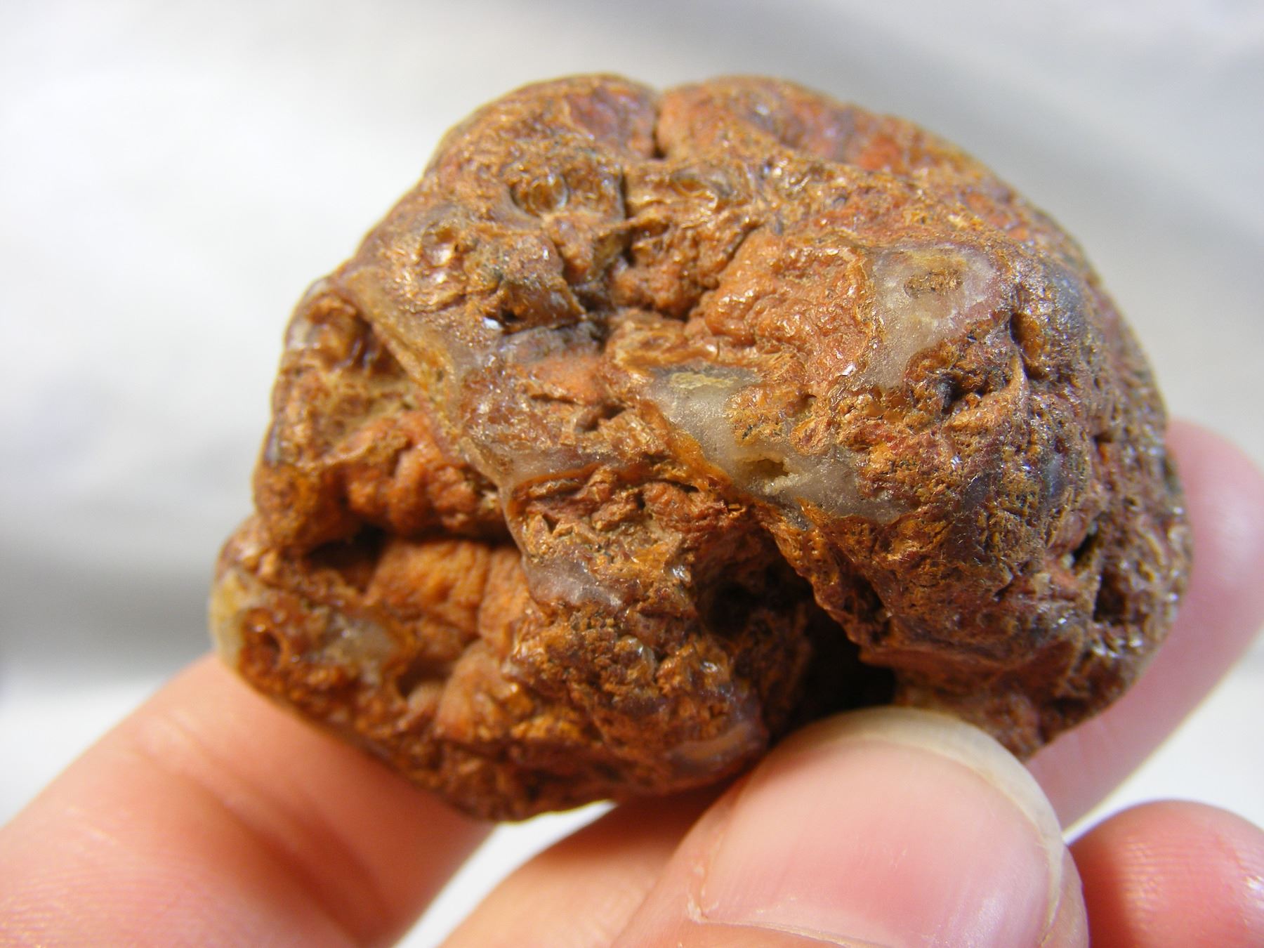 Great Fairburn Agate with Platelets Nebraska Find