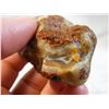 Image 7 : Great Fairburn Agate with Platelets Nebraska Find