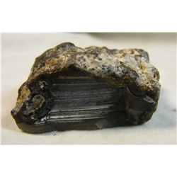Scenic Black Agate from South Dakota