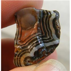 Gemmy Fairburn Agate from South Dakota