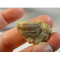 Gemmy Caramel Fairburn Agate from Nebraska