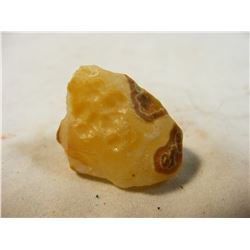 Fairburn Agate with Frog Skin from South Dakota
