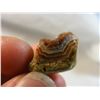 Image 4 : Fairburn Agate from South Dakota
