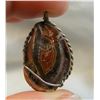 Image 1 : Wire Wrapped Fairburn Clam Shell Pendant
