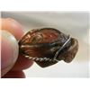 Image 3 : Wire Wrapped Fairburn Clam Shell Pendant