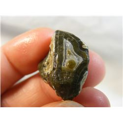 Dark Colored Fairburn with Green Floater from South Dakota