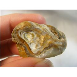 Fairburn Agate from South Dakota