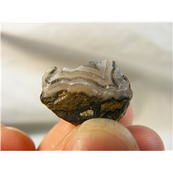 Black and White Fairburn Agate from South Dakota