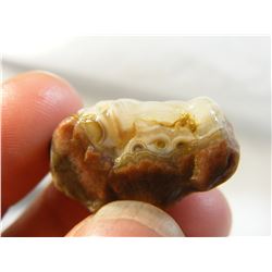 Fairburn Agate from South Dakota