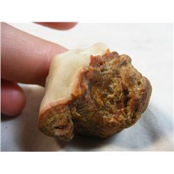 Fairburn Agate from South Dakota